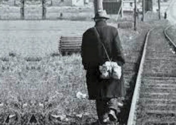 Origen de la palabra linyera