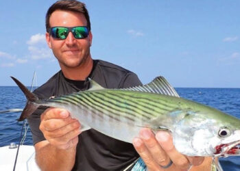 Dichos y palabras. ¿Cuál es el diminutivo de «bonito»? ¿Cuál es la regla para la formación de los diminutivos?