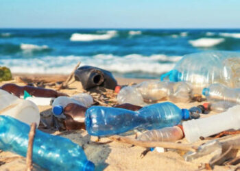 Calculan que habría hasta 11 millones de toneladas de plástico depositadas en el fondo de los océanos