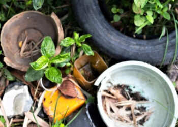 Para que Monte Hermoso continúe libre de dengue lanzan una campaña municipal de prevención