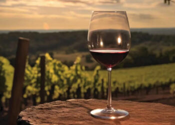 17 de abril Día del Malbec. El vino del varietal emblema de la Argentina tiene su fecha de celebración