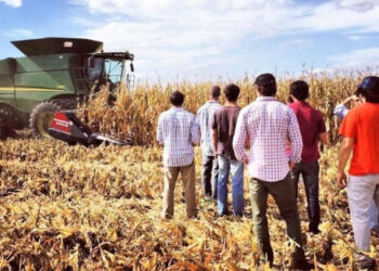 Cómo ven los jóvenes universitarios al agro y su potencial como sector empleador en la reedición de un sondeo