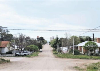 El municipio lanzó la campaña “Árboles para mi vereda” invitando a participar a la comunidad de Monte Hermoso