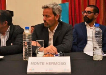 Con presencia local tuvo desarrollo en Mar del Plata una asamblea del Congreso Provincial de Salud