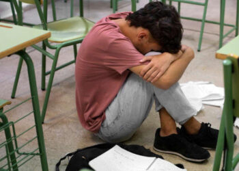 Acoso escolar por las redes sociales