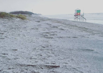 Nevada en Monte Hermoso 2018