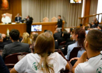 Universidad del sentido