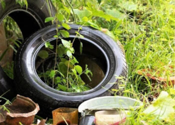 Este martes 11, nueva recorrida en cumplimiento de la campaña municipal para prevenir el dengue