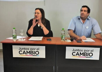 “Dos proyectos al archivo. Dos miradas, una al futuro, otra al pasado”. Silvia Manzo escribe su frustración