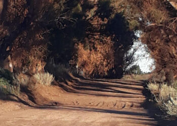 Camino del sinuoso oeste Monte Hermoso