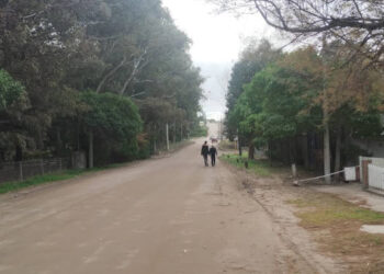 Campaña árboles para mi vereda en Monte Hermoso