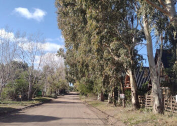 Clima en Sauce Grande y Monte Hermoso 29 de julio