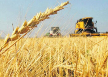 Gobernar es alimentar