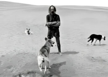 Esas pequeñas cosas. Callejera