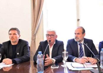 Con el RIGI de telón de fondo Dichiara cuestionó expresiones de Milei en defensa de Bahía como sede de la planta de GNL