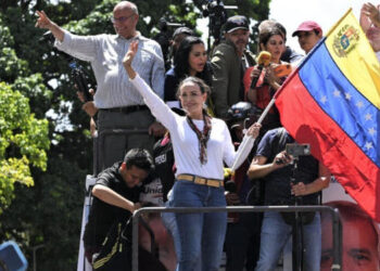 Elecciones en Venezuela