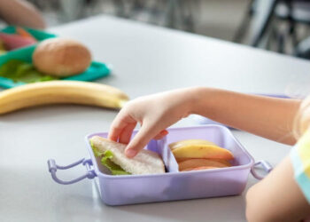 Viandas escolares: el desafío de una alimentación saludable para niños y adolescentes