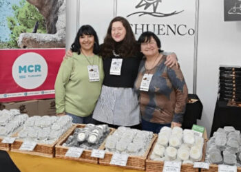 Mundial del Alfajor 2024. Bronce para el Pehuen Co, de emprendedores pampeanos, en categoría Pyme