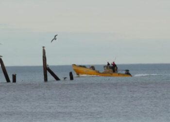 ¿El frío llega para quedarse? Lo que anticipan los pronósticos del tiempo para los próximos días en Argentina