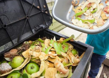 Desperdicio de alimentos en Argentina
