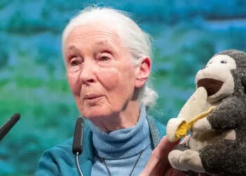 Jane Goodall en Argentina
