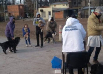 Vacunación antirrábica en Monte Hermoso