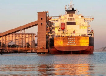 Aun con precios internacionales bajos, el campo aportó el 85% de los dólares que ingresaron al país