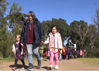 Amplia participación en lo que va del año en las visitas al Parque Ambiental del Paseo del Pinar de Monte Hermoso
