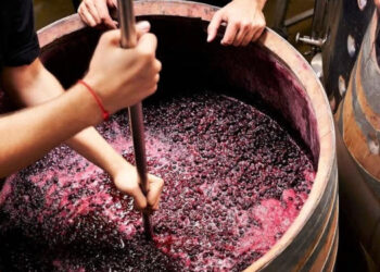 Tendencia en aumento: hacer un vino propio. El deseo de todos los amantes del vino de elaborarlo como los antepasados