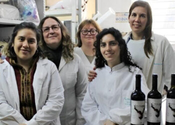 La provincia tiene un malbec de pura cepa bonaerense. Para el desarrollo utilizaron un vino de Saldungaray