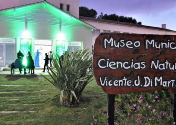El Museo municipal de Ciencias Naturales está presentando una original muestra de insectos de todo el mundo
