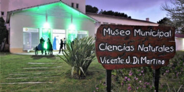 El Museo municipal de Ciencias Naturales está presentando una original muestra de insectos de todo el mundo