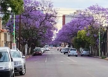 Bahía Blanca pintado de Jacarandá
