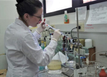 Dengue: investigadores bonaerenses confirman que se expande la resistencia de los mosquitos a los insecticidas