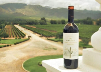 Argentina celebra el Día del Vino. Declarada bebida nacional, en la actualidad se produce en casi todo el país