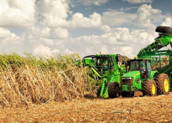 Exportaciones record de economías regionales: más de 8 mil millones de dólares entre noviembre 2023 y octubre 2024