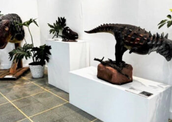 El Museo de Ciencias Naturales de Monte Hermoso exhibe una muestra de paleo arte disponible durante toda la temporada