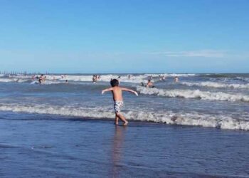 Decidir qué comunicar para informar sobre la realidad