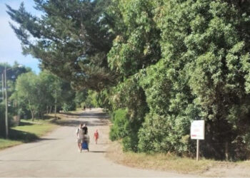 Pronóstico para Monte Hermoso y Sauce Grande