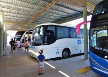 Novedades del mercado turístico: planean relanzar un programa para incentivar la actividad y suman vuelos desde Brasil