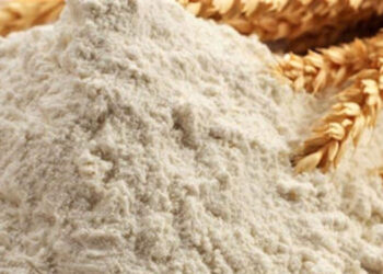 Corrupción y evasión en la cadena del trigo y la harina. Y negligencia del estado