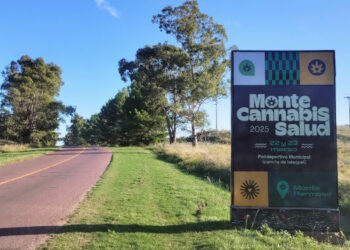 Monte Cannabis Salud