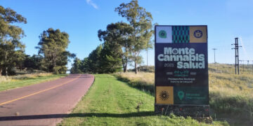 Monte Cannabis Salud