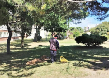 El municipio informó sobre los alcances del feriado de Carnaval en Monte Hermoso