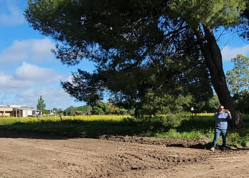 Charla sobre arbolado urbano en Coronel Dorrego