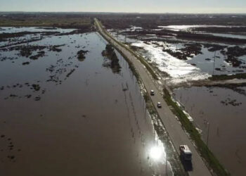 Inundaciones en Bahía Blanca consecuencia para el agroInundaciones en Bahía Blanca consecuencia para el agro