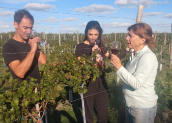 Vinos finca Nobles Caciques