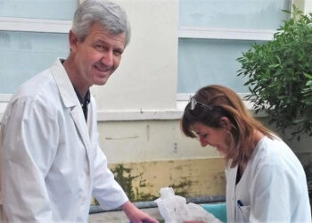 Lanzaron la campaña gratuita de castración canina y felina del año. Cómo obtener turno para las dos primeras jornadas