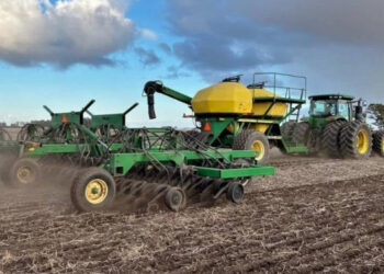 La base está. Buenas perspectivas climáticas para los cultivos de invierno por la humedad acumulada en este otoño