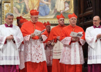 Dichos y palabras. Origen y significado de las palabras y conceptos que se vinculan con la elección del nuevo papa